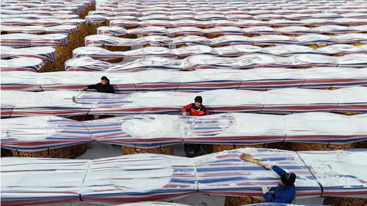 全球媒体聚焦︱美媒：中国如何在不依赖他国农产品的情况下养活14亿人口？