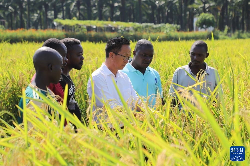 高端访谈丨“非中关系是南南合作的典范”——访非盟轮值主席、布隆迪总统恩达伊施米耶