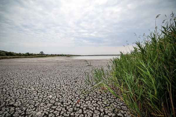 新华网国际看点|40℃高温炙烤下,中国“降温神器”缓解欧洲酷暑焦虑